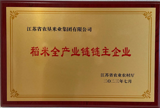 稻米全产业链链主企业